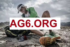 Siegel：国王尝试兜售多名球员&其中兜售最积极的球员是蒙克